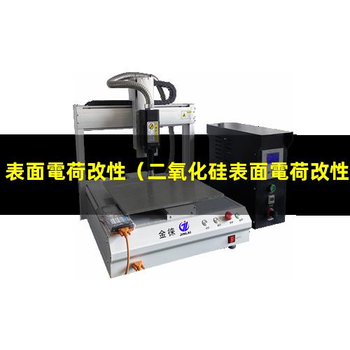 表面電荷改性